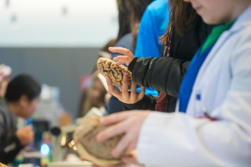 students at science fair